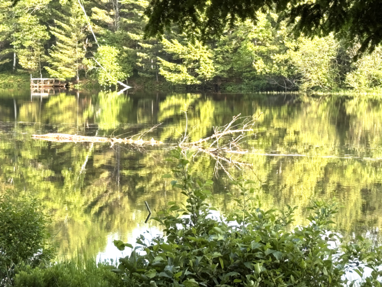 Property owner urges boaters to use caution on Kamaniskeg Lake